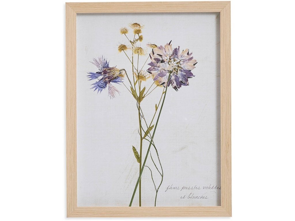 Pressed Purple Flowers